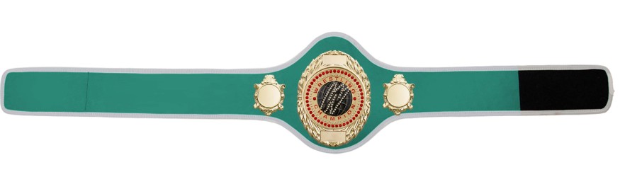 WRESTLING BELT-PRO286/G/WRESTGEMG-10+ COLOURS